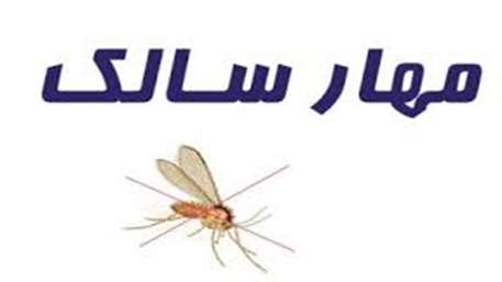  راه های کنترل و پیشگیری از سالک جلدی